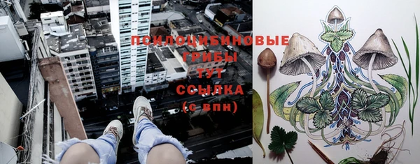 каннабис Пестово