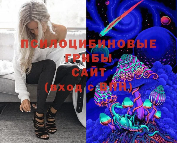 крисы Переславль-Залесский